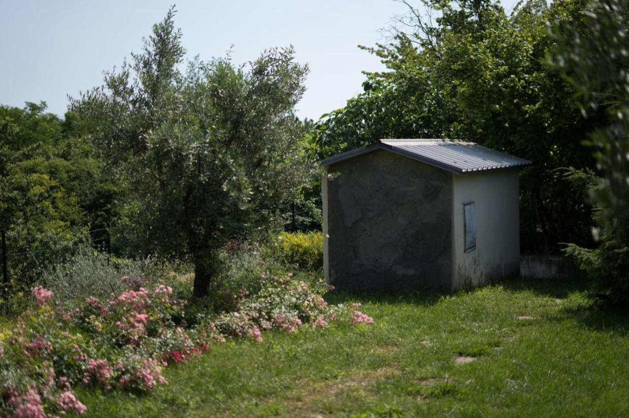 Villa Silvana - Apt Giulia & Michela With Terrace & Parking Perugia Exterior foto